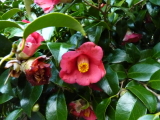 img0013.jpg