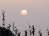 img0019.jpg