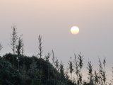 img0023.jpg