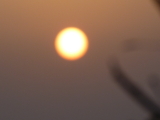 img0031.jpg