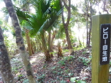 img0047.jpg