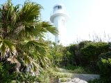 img0059.jpg