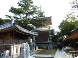 img0075.jpg