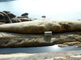img0086.jpg