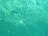img0093.jpg