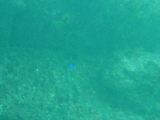 img0094.jpg
