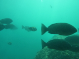 img0102.jpg