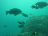 img0103.jpg