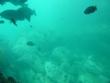 img0107.jpg