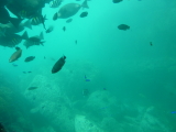 img0108.jpg