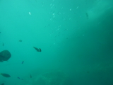 img0110.jpg