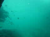 img0111.jpg