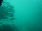 img0112.jpg