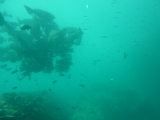 img0113.jpg