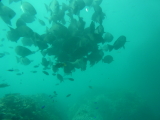 img0114.jpg