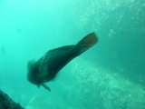 img0120.jpg