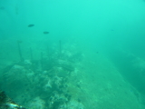 img0121.jpg