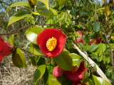 img0129.jpg