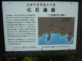 img0130.jpg
