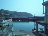img0132.jpg