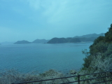 img0136.jpg