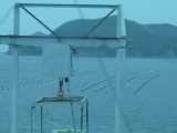 img0137.jpg