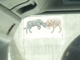 img0145.jpg