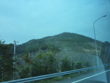 img0217.jpg