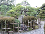 img0261.jpg