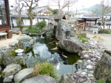 img0269.jpg