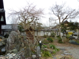 img0270.jpg