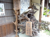 img0284.jpg