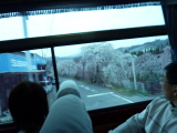 img0292.jpg