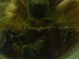 img0300.jpg