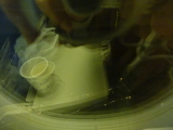 img0306.jpg