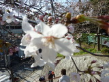 img0003.jpg