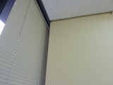 img0007.jpg