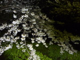 img0014.jpg