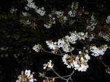 img0018.jpg