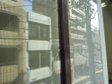 img0006.jpg