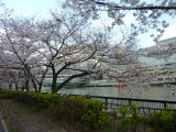 img0023.jpg