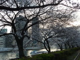 img0024.jpg