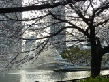 img0026.jpg