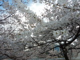 img0027.jpg