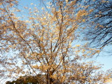 img0028.jpg
