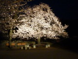 img0041.jpg