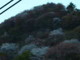img0045.jpg
