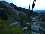 img0046.jpg