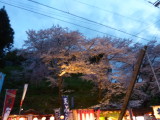 img0049.jpg