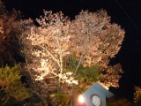 img0053.jpg